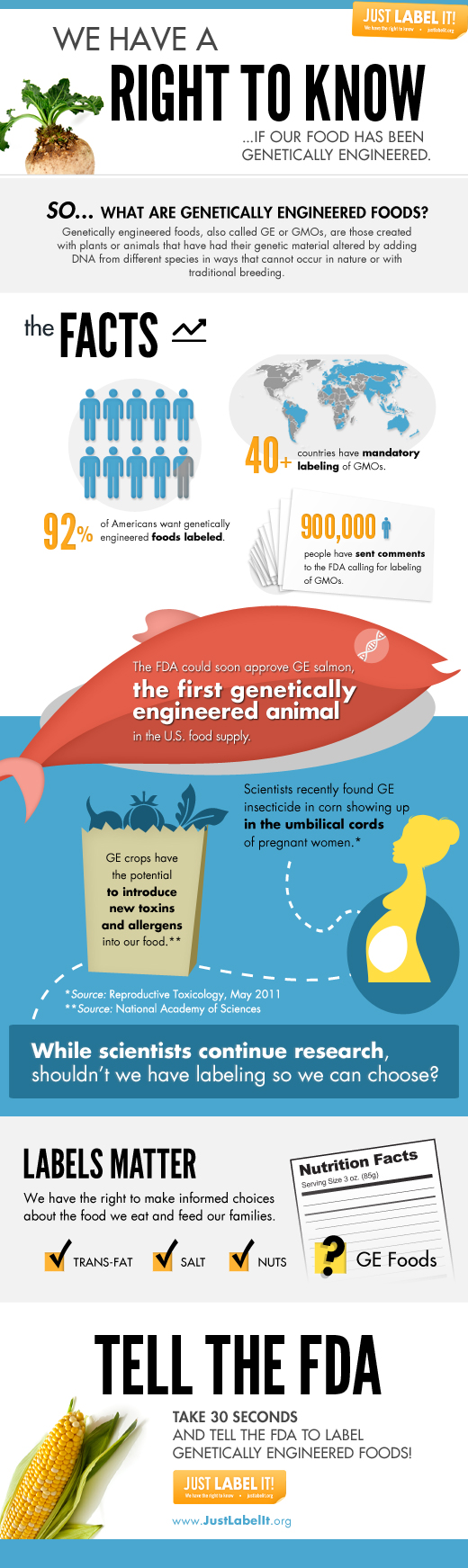 Just Label It Infographic- GE Foods at a Glance